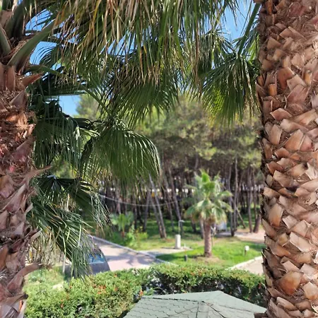 Pearl Adriatic Coast 1 *