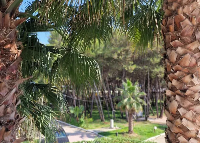 Pearl Adriatic Coast 1 *